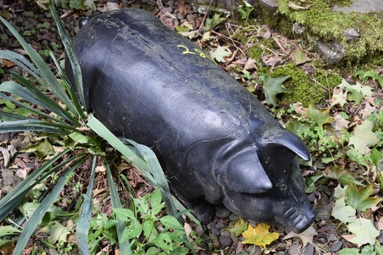 Cast Iron Pig