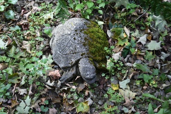 Plastic Tortoise, Concrete Tortoise, Home Sweet Home Sign, and Welcome Bear