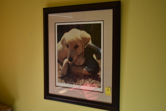 "Coy and Decoy" Print by John Aldrich