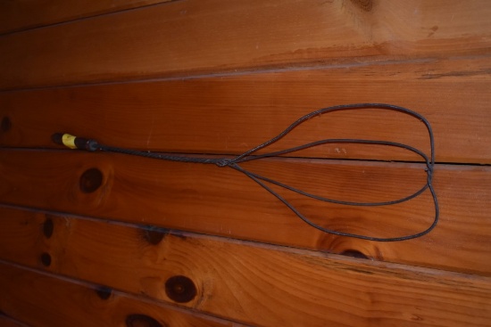 Antique Rug Beater and Antique Pole Saw