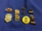 Lot of Assorted MO Farm Pins- 11 total