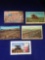 Lot of 5 Ag Postcards