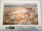 Pronghorn Antelope painting From the Remington Wildlife Art Collection