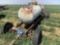 250 Gal. LP Tank and Chassis