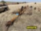 6 Bale Round Bale Trailer NO TITLE OFFSITE