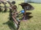 John Deere 2 Bottom Roll over Plow