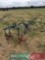 Ransomes horse drawn beet plough