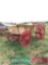 4 wheeled wagon with peach exterior, red interior and wheels