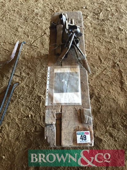 Sheering bench, dagging shears and other tools