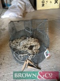 Sparrow traps (2) and rabbit netting