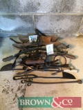 Quantity of cattle horn trainers