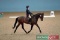 1 hours coaching from British Dressage Coach and FEI level 2 eventing judge Zara Pawley. time and