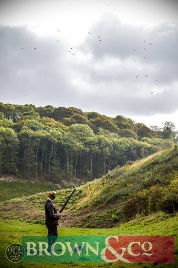 Single peg on a Warter Priory game shoot 300 bird day for the 2020/21 season. Date to be mutually