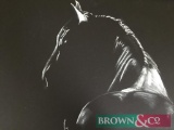A striking, pastel silhouette of a horse from an original picture , black background, Giclee print