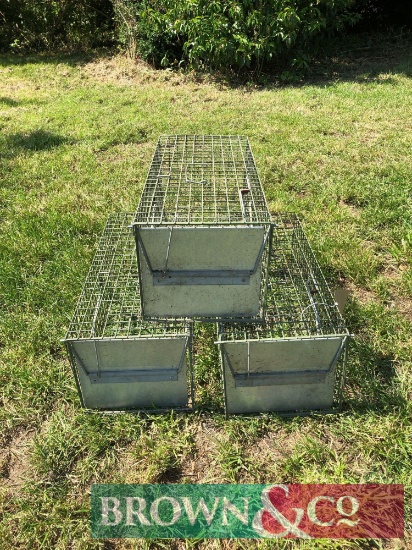 Quantity rabbit traps