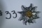 Edelweiss insignia