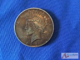 1926 D Silver Peace Dollar