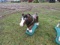 Horse Statue