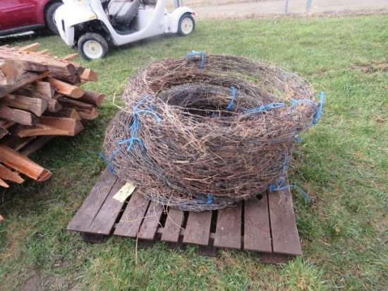 group of barb wire