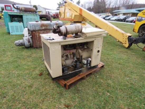 Generac gas 00447-0 Generator
