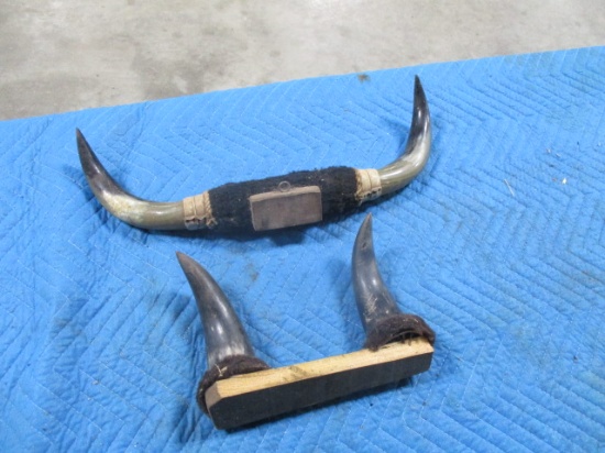 2 horns