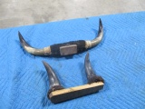 2 horns