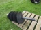 JCT POST HOLE AUGER 18