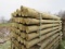 CHERRY CREEK FENCE POSTS  45 PIECES
