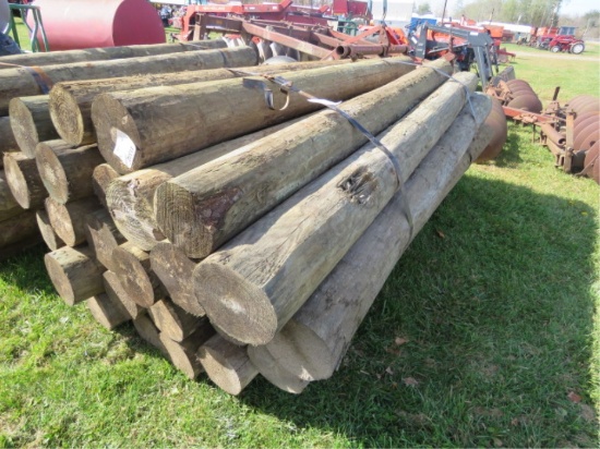 8FT LARGE DIAMETER TREATED FENCE POST