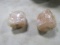 2 SALT LICKS