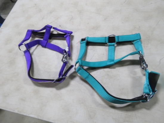 2 HALTERS