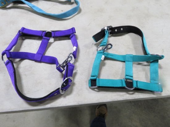 HALTERS
