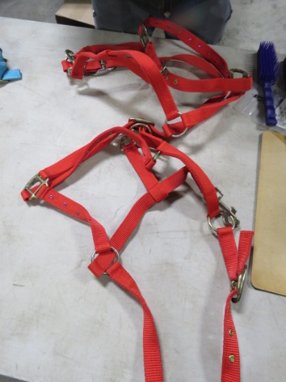 2 HALTERS RED