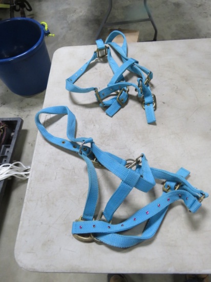 2 HALTERS BLUE