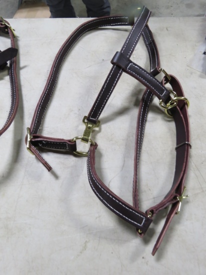 LEATHER BRIDLE