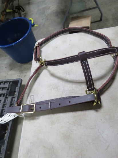 LEATHER BRIDLE