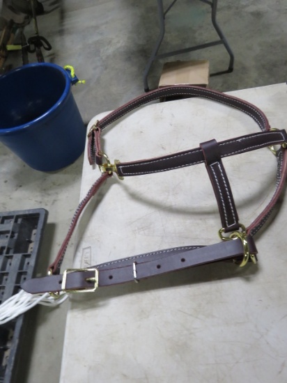 LEATHER BRIDLE