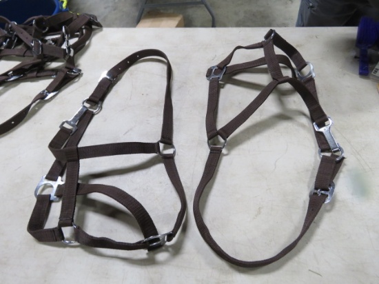 ADJUSTABLE HALTER