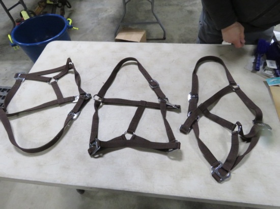ADJUSTABLE HALTER