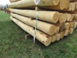 8FT TAMARAC FENCE POSTS