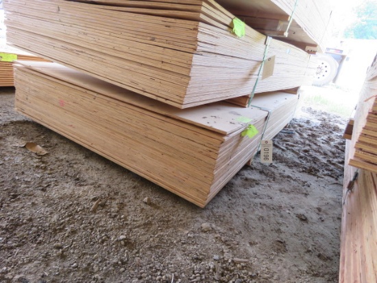 CDX PLYWOOD 3/8X48X95