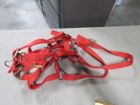 2 RED HALTERS