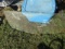 56 BELAIR SEDAN WINDSHIELD