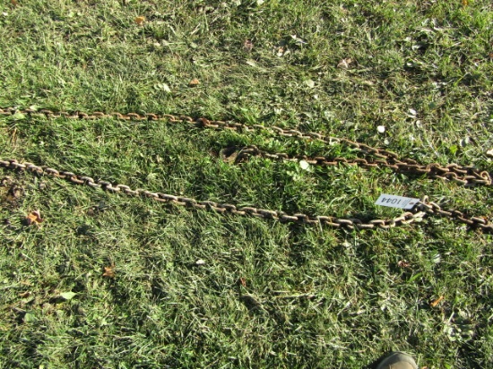DOUBLE HOOK CHAIN