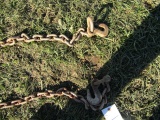 DOUBLE HOOK CHAIN