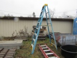 WERNER FIBERGLASS STEPS LADDER