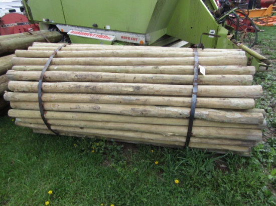 FENCE POST - 100 TIMES THE BID