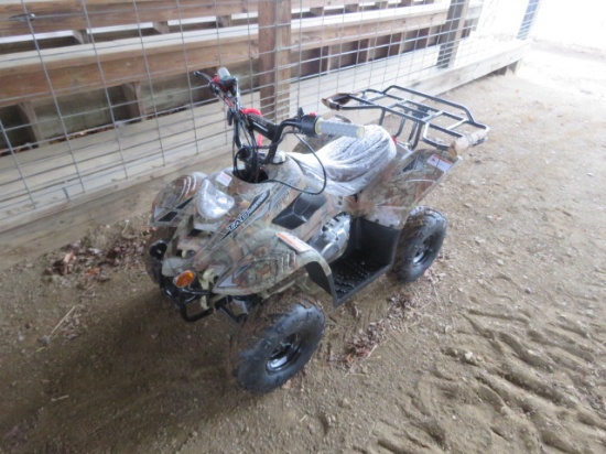 TAO MOTOR BOULDER KIDS 4 WHEELER