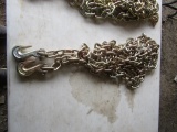 NEW 20FT DOUBLE HOOK CHAIN
