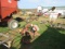NEW HOLLAND SPERRY RAND 451 3PT HITCH SICKLE